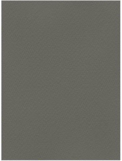 Χαρτονι Favini 50 X 70cm 220gr Piombo 07