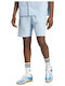Essentials Herrenshorts Clesky