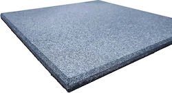 Alpine Fitness Podea Echipament De Gimnastică Sala De Sport 100x100x1.5cm 1 Bucată Gri