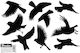 Small Bird Repellent Stickers 9 Pcs 10 Sheets Scare
