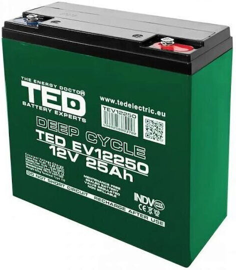 Baterie 12V Vehicule Electrice Dimensiuni 181 X 76 X 167 Mm 12V 25Ah M5 Baterie Ted003782