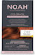 Noah for Beauty Hair Dye No Ammonia 7.44 Intense Copper 135ml