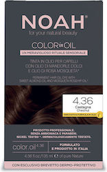 Noah for Beauty 4.36 Castaniu
