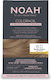 Noah for Beauty Haarfärbemittel Ohne Ammoniak 8.0 Leicht Blond 135ml