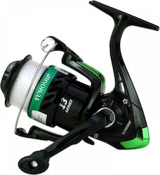 FF 6000 FF 6000