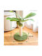 Animal Scratching Post Cat Trees 26x26x45cm 25.05.15752