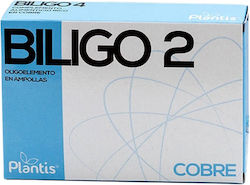 Artesania Agricola Biligo