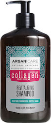 Arganicare Hydration Shampoo 400ml Arganicare Hydration Shampoo 400ml