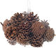 Natural Pinecone RT183 250g