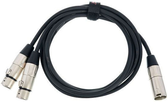 Kirlin Y-301-06 Bk Male Xlr To 2 Female Xlr Cable