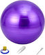 Level-S Μπάλα Pilates 65cm , 1kg σε Μωβ Χρώμα