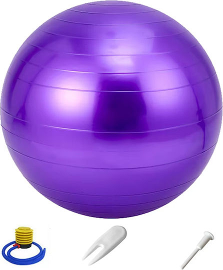 Level-S Μπάλα Pilates 65cm , 1kg σε Μωβ Χρώμα