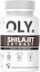 Oly Shilajit Extract 500мг 60 капси
