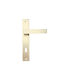 CasaDino Lever Middle Door with Plate Matte Gold