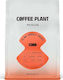 Coffee Plant Cafea Espresso Arabica Boabe 250gr