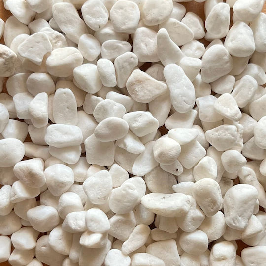 Epigasos Φυσικό Χαλίκι Ενυδρείου Άσπρο 3-5mm 1kg