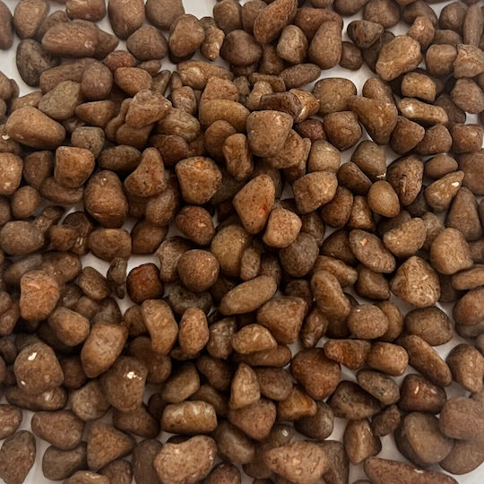 Epigasos Aquariumböden Braunes Kiesel 4-6mm Menge 0.5kg