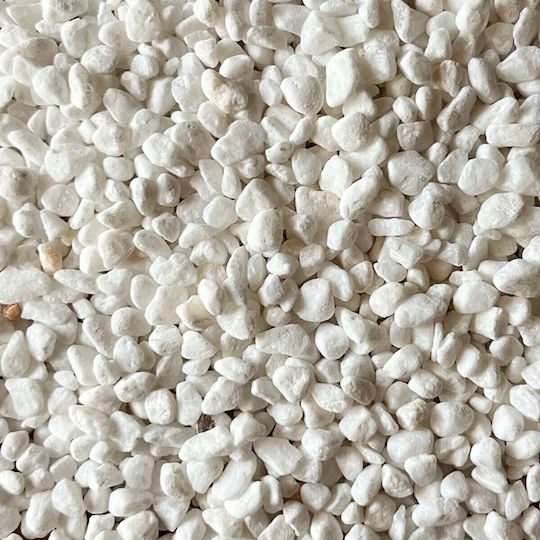 Epigasos Φυσικό Χαλίκι Ενυδρείου Άσπρο 1-3 Mm 1kg
