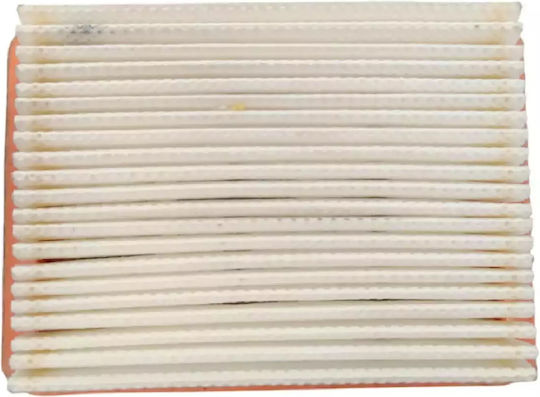 Φίλτρο Αέρος Θαμνοκοπτικού Efco Ds 5300-ds 5500 61110139