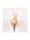Aloe Beige 35cm