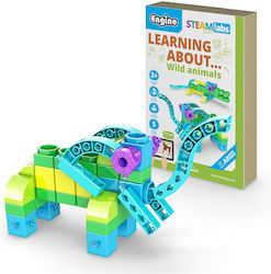 Engino Spiel Wissen Engino Spiel Wissen