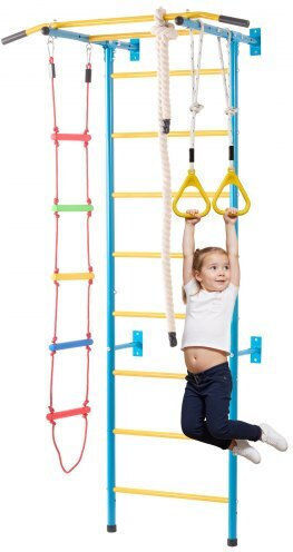 Vevor Gym with Climbing Surface Multicolour