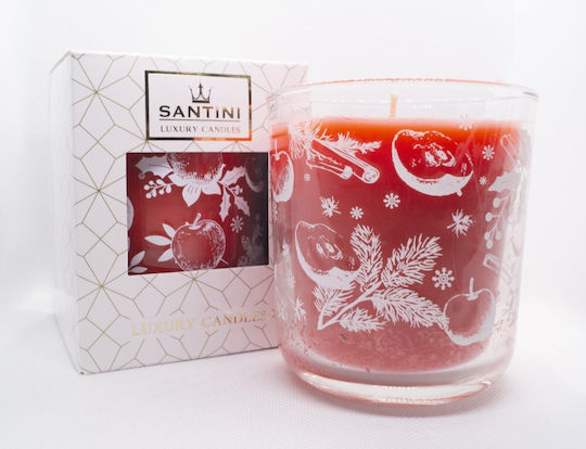 Santini Cosmetic Aromatic Candle in Jar with Cinnamon Scent 200g