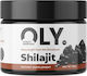 Oly Shilajit 30gr Pure