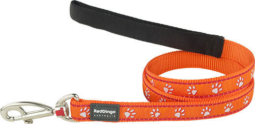 Reddingo Hundeleine/Führleine Riemen Paws in Orange Farbe