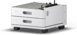 Epson Doppel-Kassette Am-c400/550