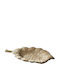 Aluminum Decorative Platter K-m A Brown 24x15cm