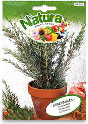 Σπορος Δενδρολιβανο Natura