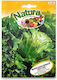 Great Lakes Natura Lettuce Head Salad Seed