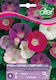 Samen Ipomoea Glockenblumen Kletternd – Verschiedene Farben