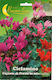 Cyclamen Giant Persia 0.01gr