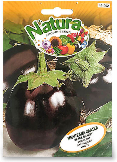 Σπορος Μελιτζανα Φλασκα Black Beaute Natura