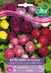 Seeds Astro Nano Border