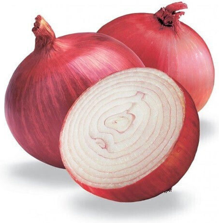 Saatgut Zwiebel Red Amposta | Skroutz Germany