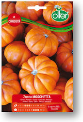 Pumpkin Moschetta Seed 1 Pc