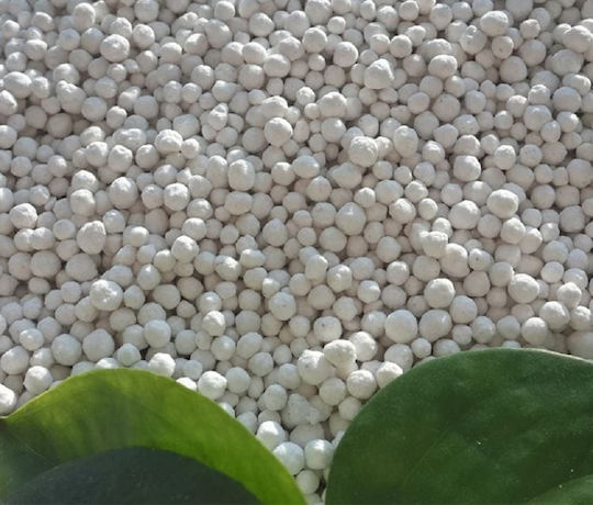 Granular Basic Fertilizer 11-15-15 1kg Slow Release Ideal For All Crops Flowering Fruit-Bearing Vegetables Mainly Recommended For Potato Cultivation