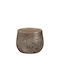 Oliver Brown 16cm 1074549