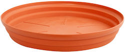 Pot Plate Geramica Miltoplast Deep No 24 23 Cm Diameter Terracotta Pot Plate Geramica Miltoplast Deep No 24 23 Cm Diameter Terracotta