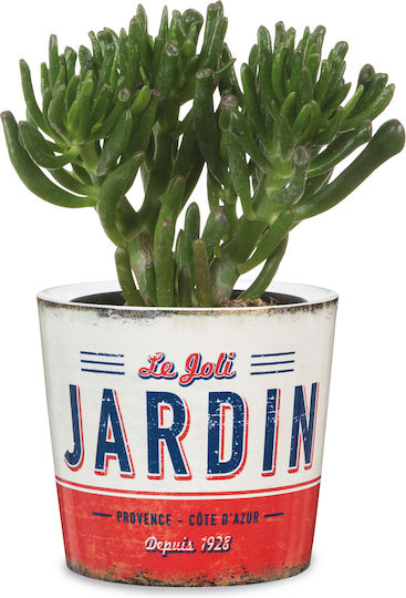 Scheurich Retro Garden Mini-jardin 870