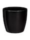 Plastona Caspo Plant Pot Roto Brillante 16 Ø16 X 14.5 Cm/2 3 Lt Black