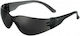 Univet 568.03.01.00 General Purpose Safety Glas...