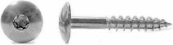 Ξυλόβιδες Ψωμάκι Torx T20 Inox A2 10 Τεμάχια 4.8 X 32mm T20 Ξυλόβιδες Ψωμάκι Torx T20 Inox A2 10 Τεμάχια 4.8 X 32mm T20