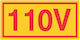 Σήμα Ασφαλείας 110v V05