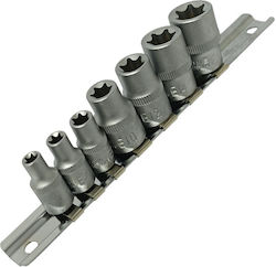Set of Female Torx Sockets 7 Pieces ¼ and ⅜ Inch