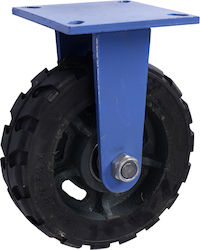 Fixed Wheel 250mm 800kg Wsht10rf