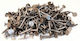 Galvanisierte Nägel Für Dachziegel 20mm